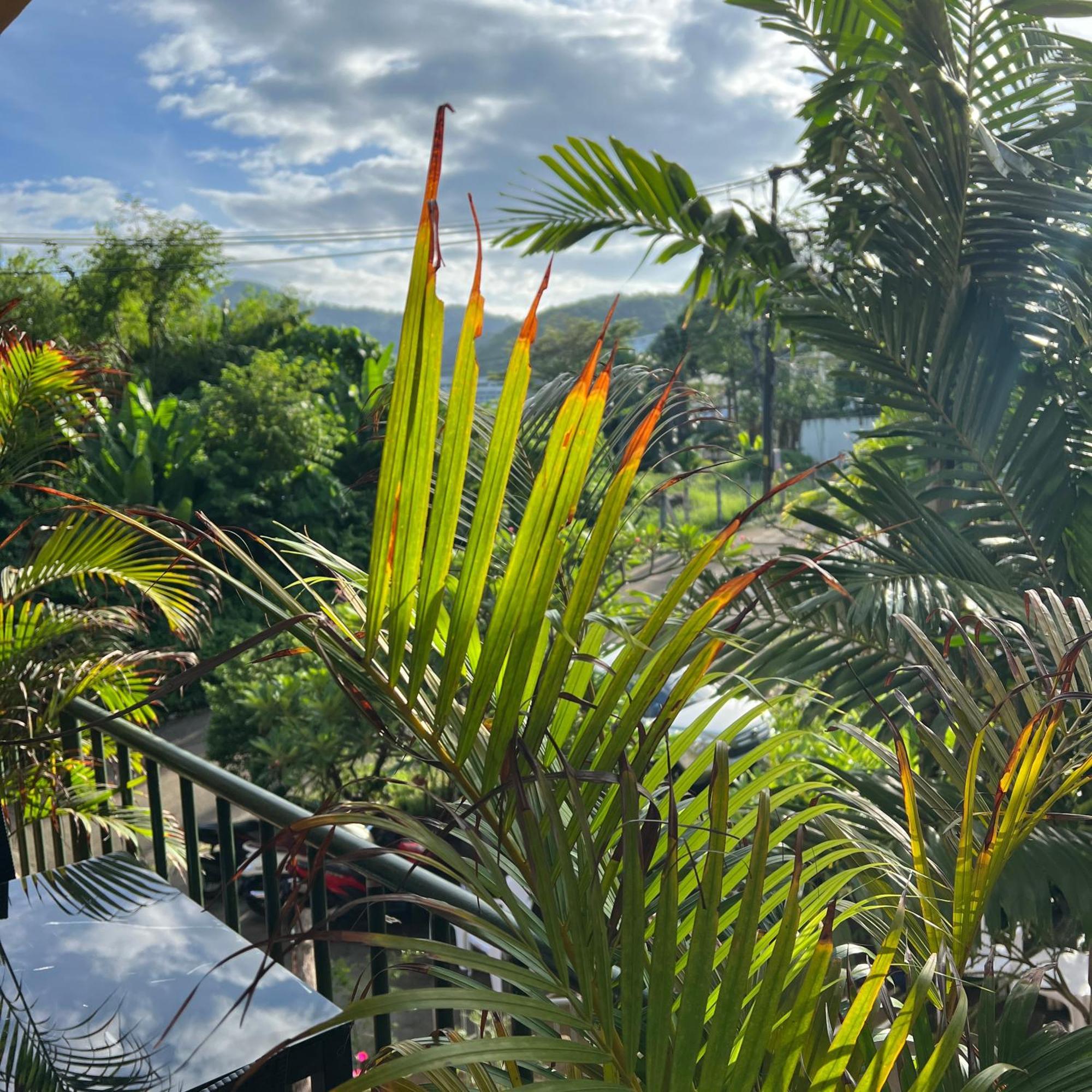 Kata Villa Merit Hill Bungalows Karon Exterior foto