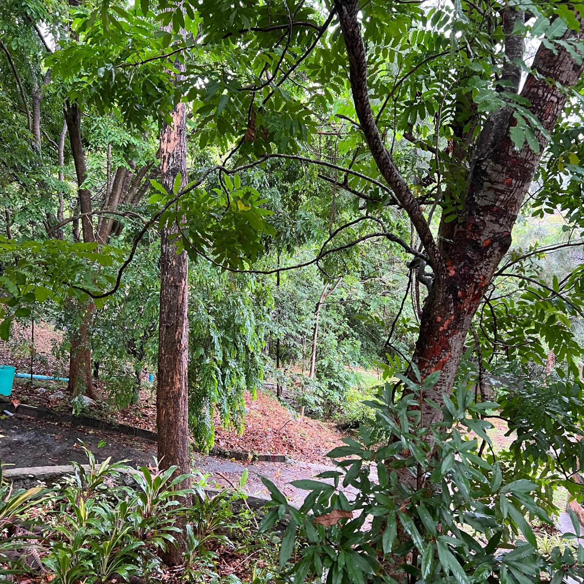Kata Villa Merit Hill Bungalows Karon Exterior foto